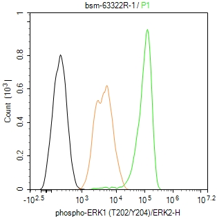 磷酸化丝裂原活化蛋白激酶1/2重组兔单抗