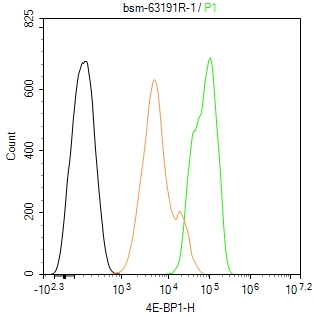 eIF4E结合蛋白重组兔单抗