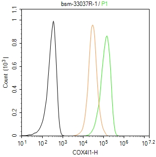 细胞色素c氧化酶IV亚型1(内参)重组兔单抗