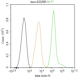 β-肌动蛋白/β-Actin（内参）重组兔单抗-bsm-63325R
