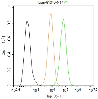 热休克蛋白105重组兔单抗