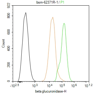 β葡萄糖醛酸苷酶重组兔单抗