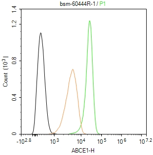 核糖核酸酶L抑制蛋白重组兔单抗