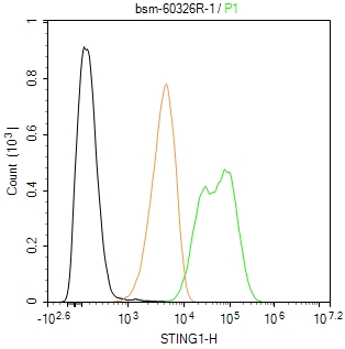 跨膜蛋白173重组兔单抗