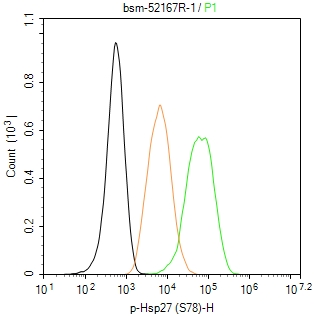 磷酸化热休克蛋白27重组兔单抗-bsm-52167R