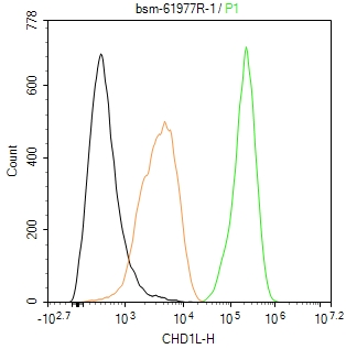 染色质解旋酶DNA结合蛋白重组兔单抗
