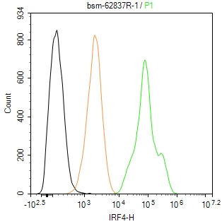 干扰素调节因子4重组兔单抗