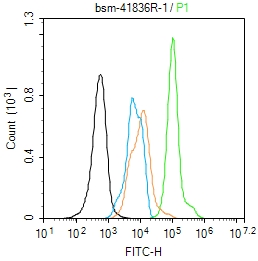 NF-L Recombinant Rabbit mAb (一抗) - Flow-Cyt,ICC/IF | Bioss