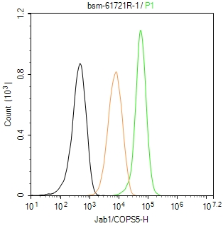 Jun激活区域-连接蛋白1重组兔单抗