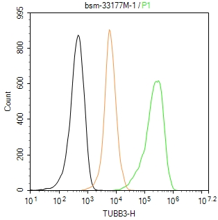 微管蛋白β3（神经标志物）单克隆抗体-bsm-33177M