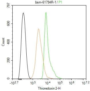 线粒体硫氧还蛋白2重组兔单抗