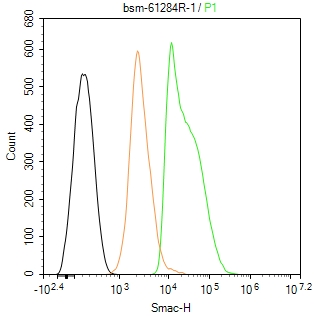 线粒体促凋亡蛋白重组兔单抗