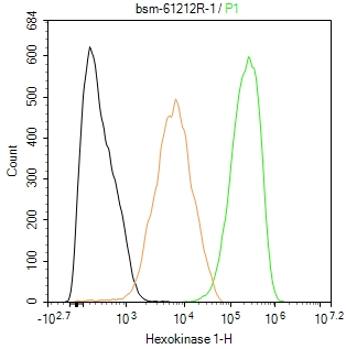 己糖激酶1重组兔单抗