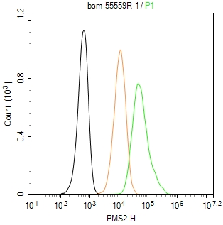肿瘤错配修复基因PMS2重组兔单抗