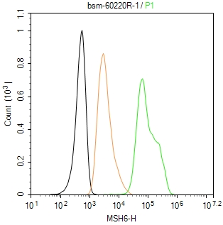错配修复蛋白6重组兔单抗
