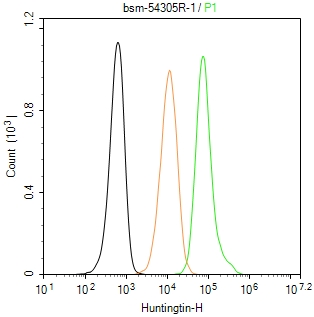 神经性舞蹈病蛋白重组兔单抗