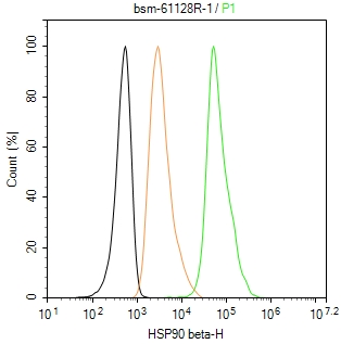 热休克蛋白90β/HSP90 β 重组兔单抗