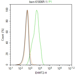 EHMT2重组兔单抗