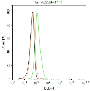 硫辛酰胺脱氢酶重组兔单抗