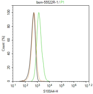 S100钙结合蛋白A4重组兔单抗