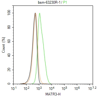 核基质蛋白3重组兔单抗