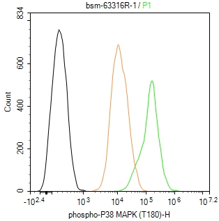 磷酸化p38MAPK重组兔单抗