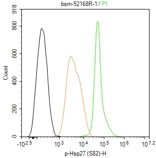 磷酸化热休克蛋白27重组兔单抗-bsm-52168R