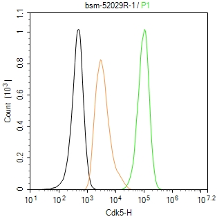 周期素依赖性激酶5重组兔单抗