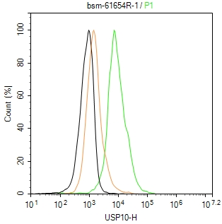 去泛素酶10重组兔单抗