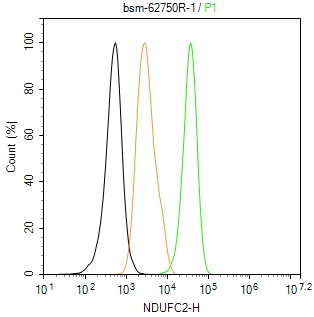 NDUFC2蛋白重组兔单抗