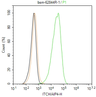 激活素受体相互作用蛋白4重组兔单抗