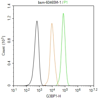 Ras GTP酶活化蛋白结合蛋白1重组小鼠单抗-bsm-60465M