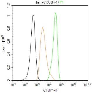 C端结合蛋白1重组兔单抗-bsm-61953R