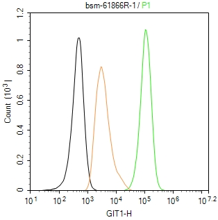 G蛋白偶联受体激酶相互作用蛋白1重组兔单抗