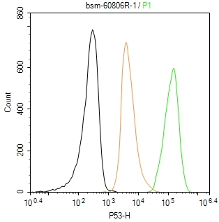 细胞肿瘤抗原P53重组兔单抗