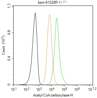 乙酰辅酶A羧化酶重组兔单抗