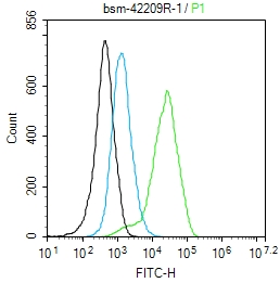 胞质紧密粘连蛋白1/闭锁小带蛋白1重组兔单抗