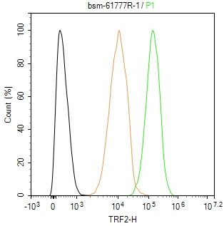 端粒结合蛋白2重组兔单抗