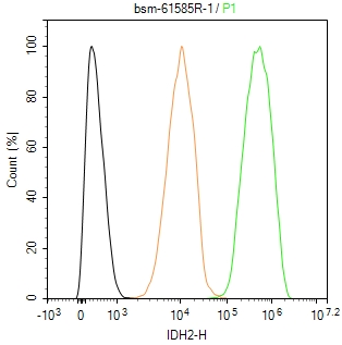 线粒体异柠檬酸脱氢酶重组兔单抗