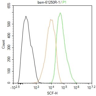 干细胞生长因子重组兔单抗