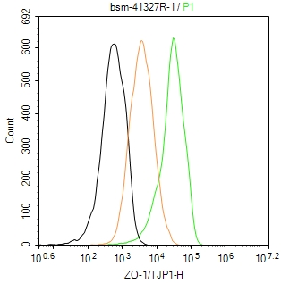 胞质紧密粘连蛋白1/闭锁小带蛋白1重组兔单抗