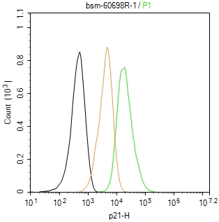 p21蛋白重组兔单抗