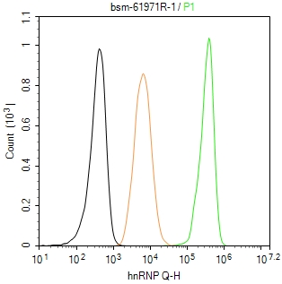 异质核糖核蛋白Q重组兔单抗