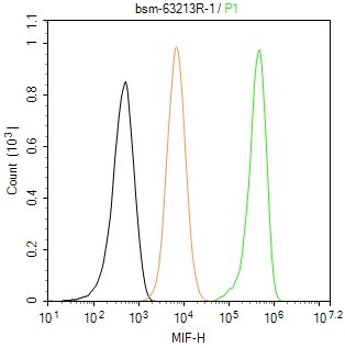 巨噬细胞移动抑制因子重组兔单抗