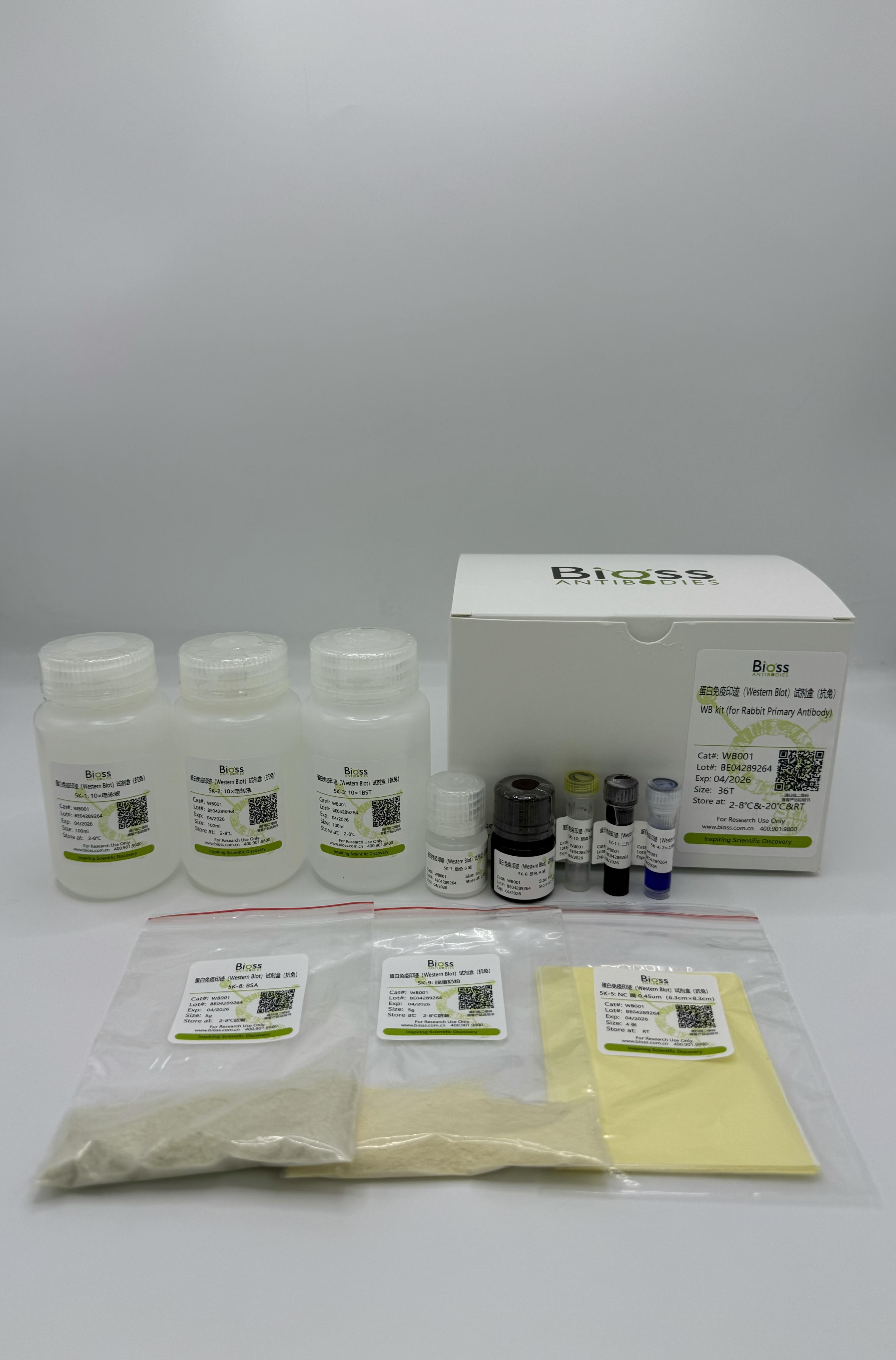 WB检测试剂盒（抗兔一抗）