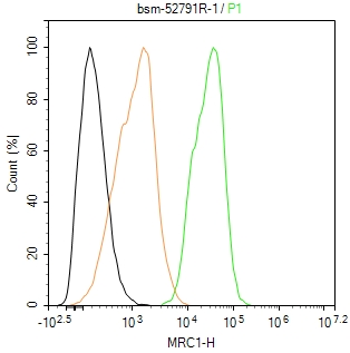 巨噬细胞甘露糖受体 (CD206)重组兔单抗