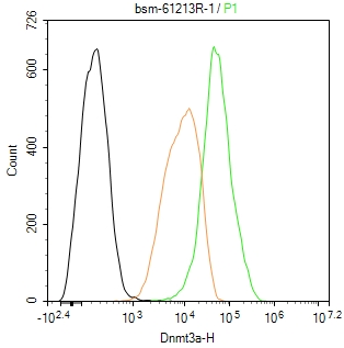 DNA甲基转移酶-3α重组兔单抗