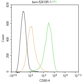 CD68 Recombinant Rabbit mAb (一抗) - WB,Flow-Cyt,ICC/IF | Bioss