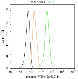 磷酸化肿瘤抑制基因PTEN重组兔单抗