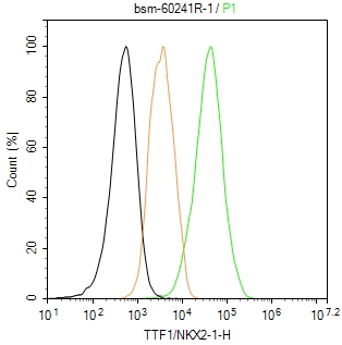 甲状腺核转录因子-1重组兔单抗